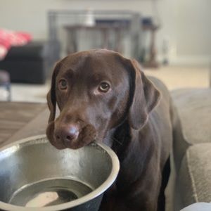 Meet your Posher, Rich